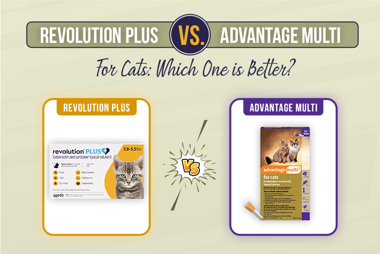 Revolution Plus Vs Advantage Multi for Cats