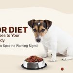 dog poor diet warning signs