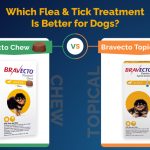 Bravecto Chew Vs Topical for Dogs