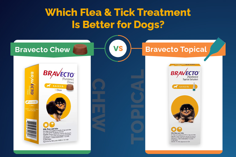 Bravecto Chew Vs Topical for Dogs